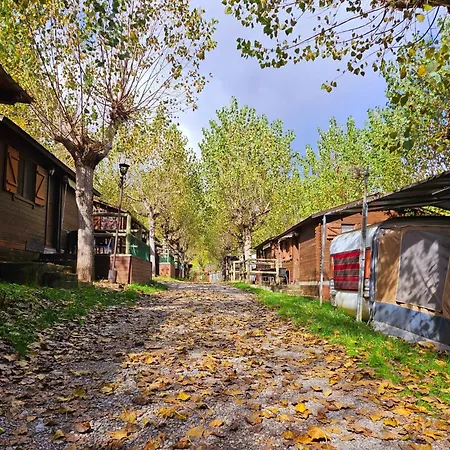 مكان تخييم Ribera Del Ara فيزكال