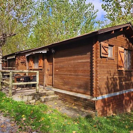 Ribera Del Ara Kemp Fiscal