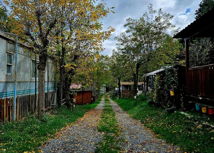 Ribera Del Ara Camping